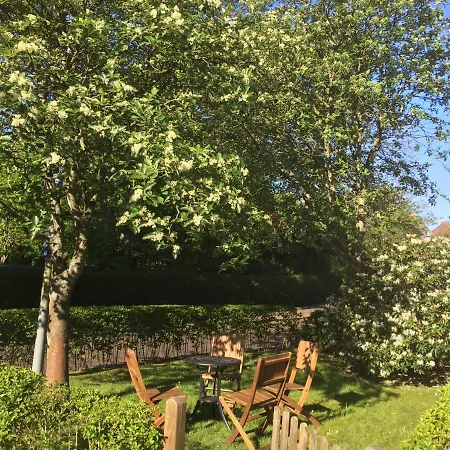 Sandrose * Wangerooge